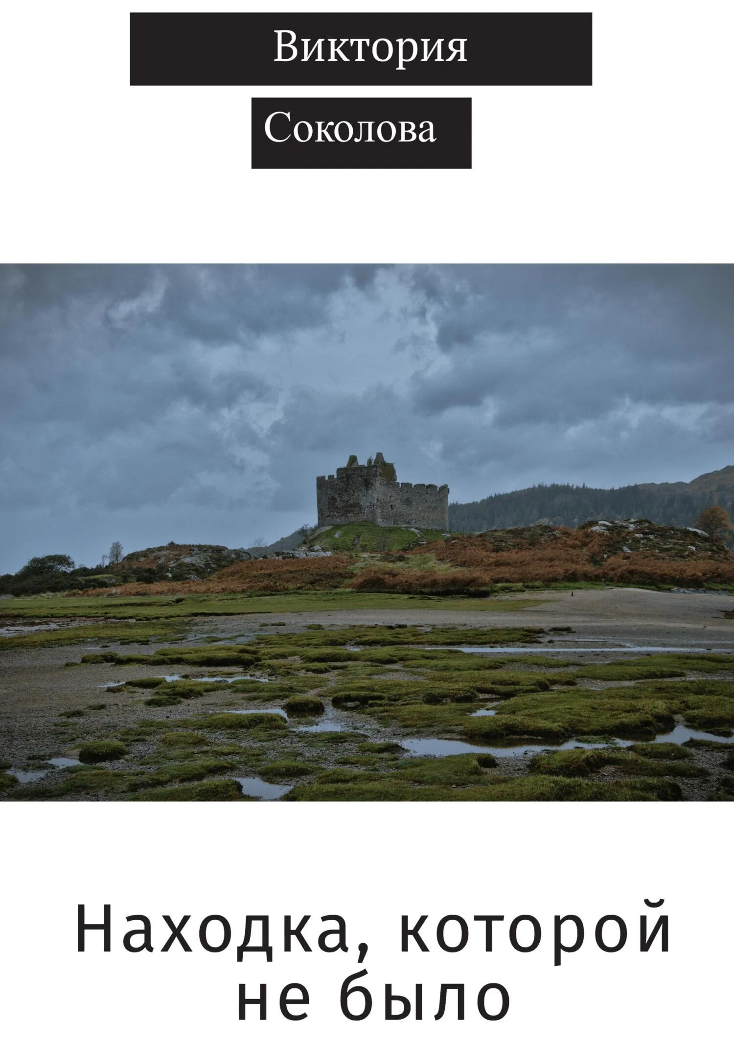 Обложка Находка, которой не было