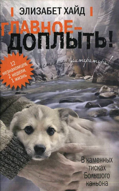 Обложка Главное - доплыть