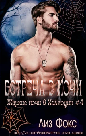 Обложка Встреча в ночи
