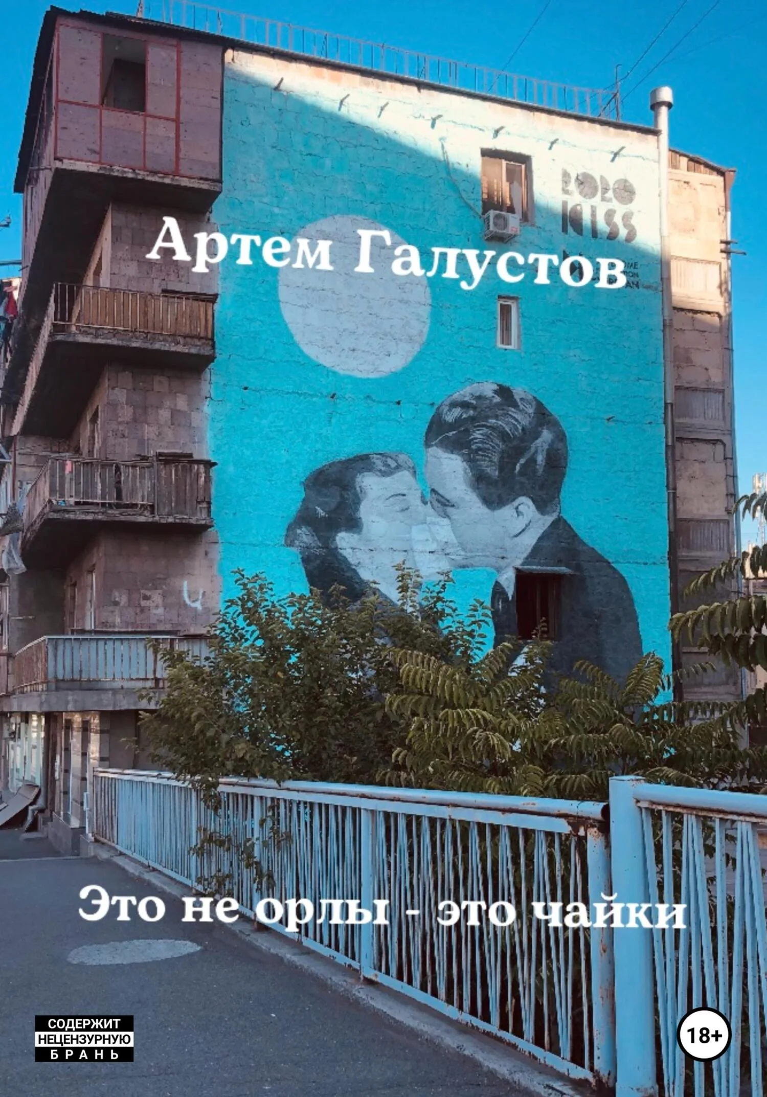 Обложка Это не орлы – это чайки