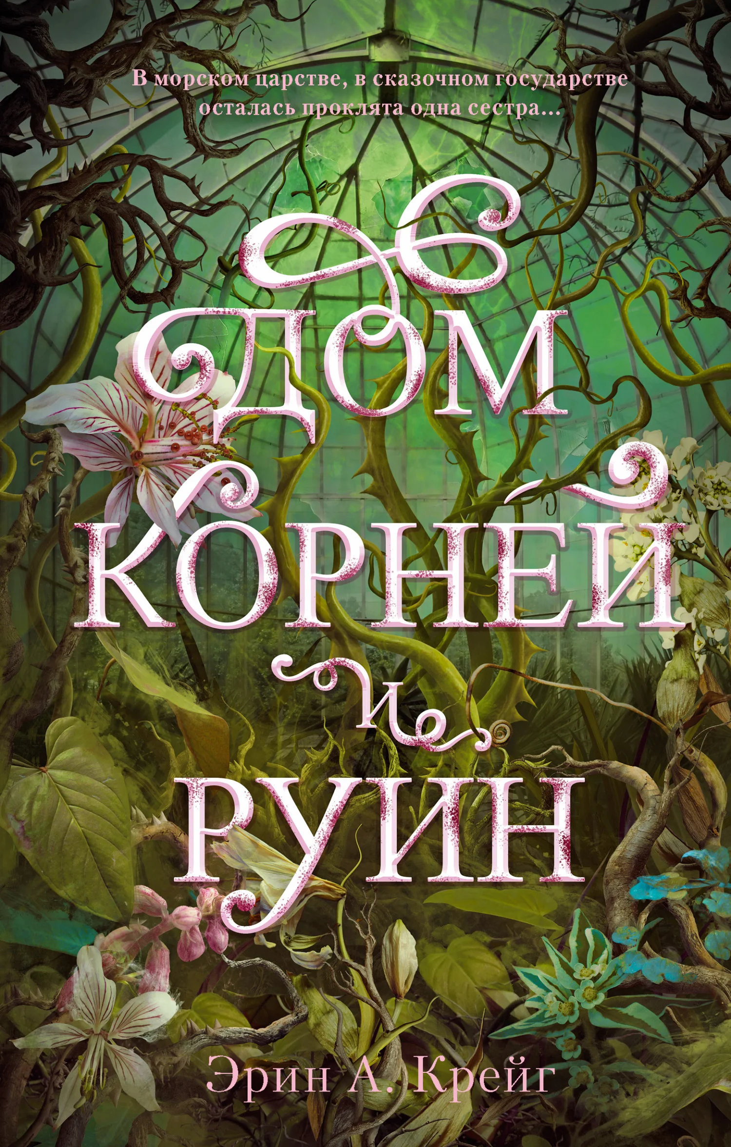 Обложка Дом корней и руин