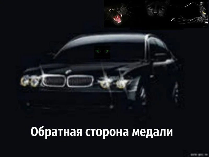 Обложка Обратная сторона медали (СИ)