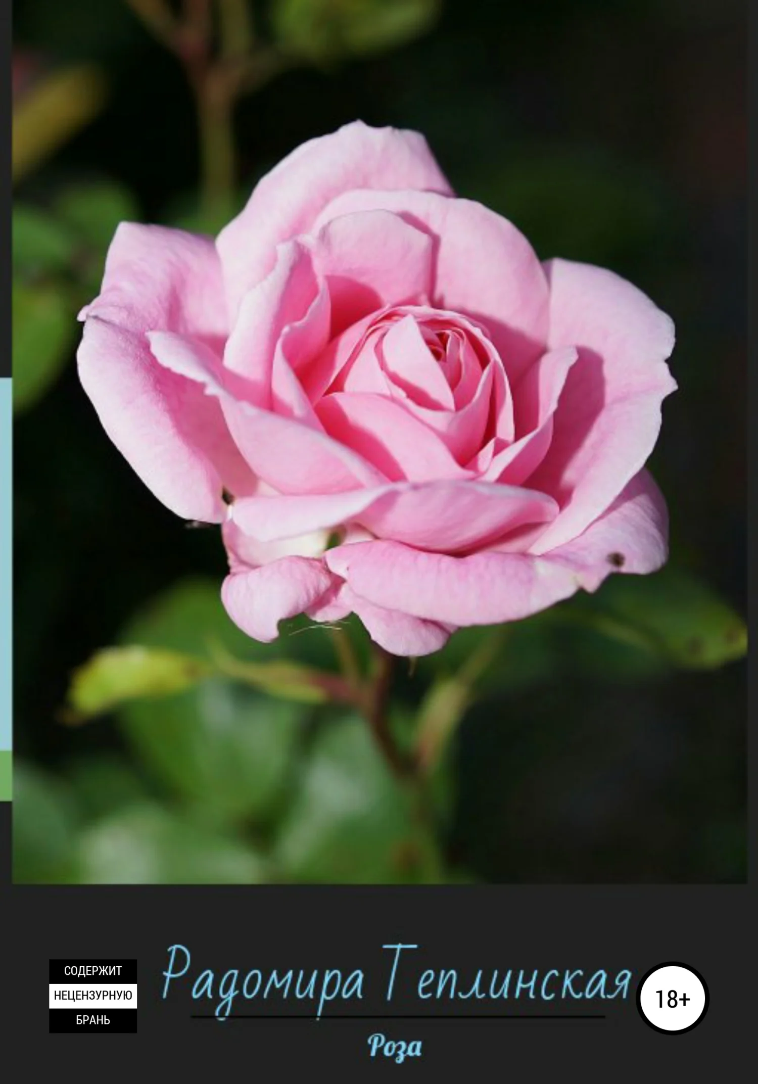 Обложка Роза