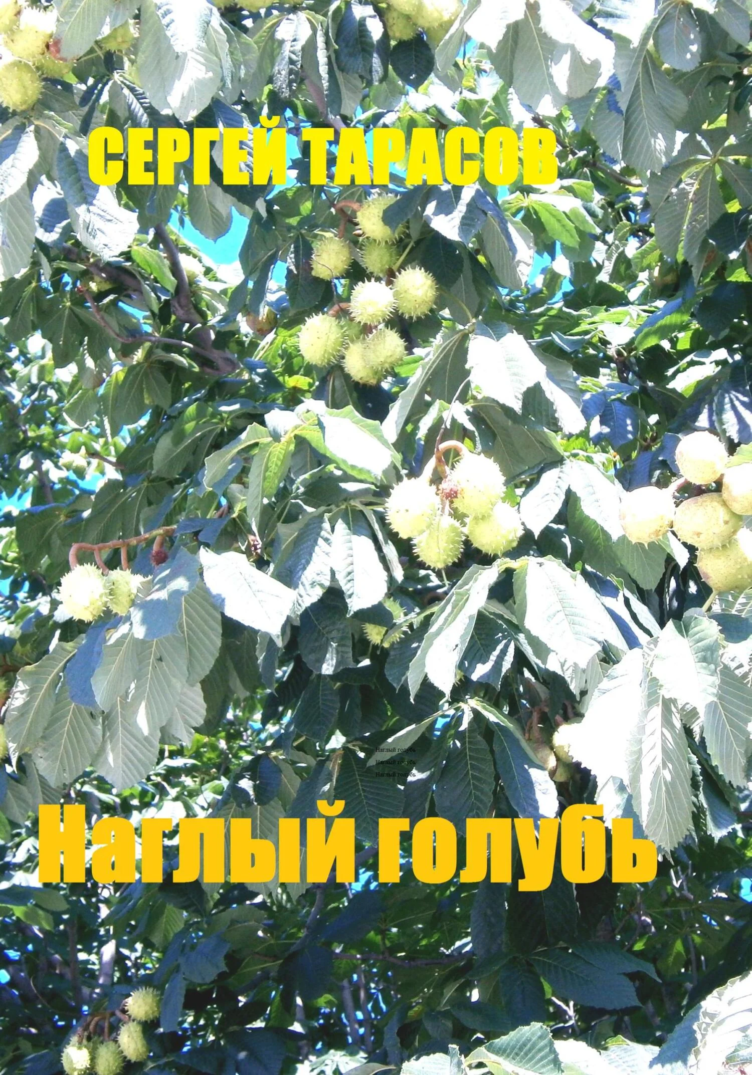 Обложка Наглый голубь