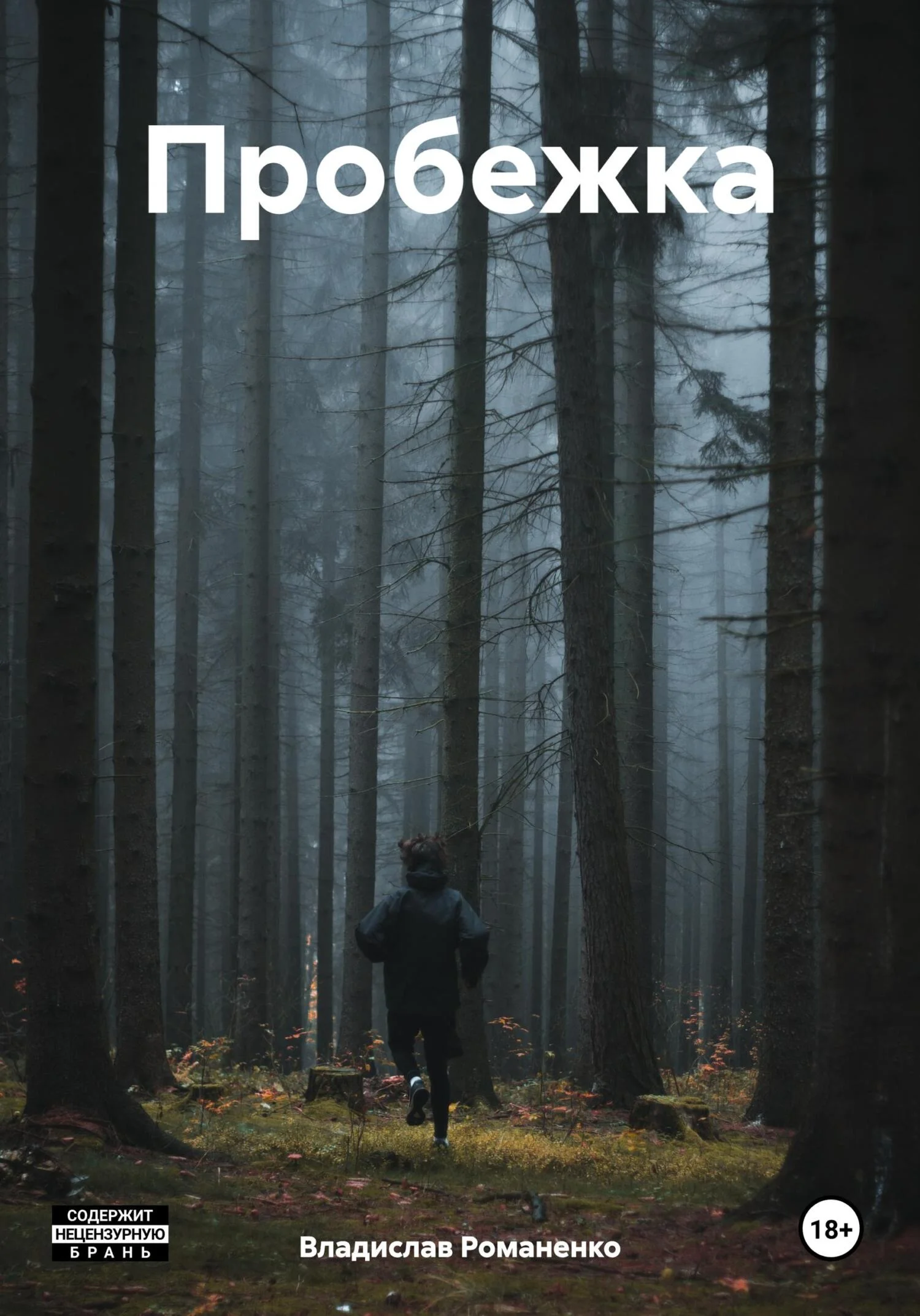 Обложка Пробежка