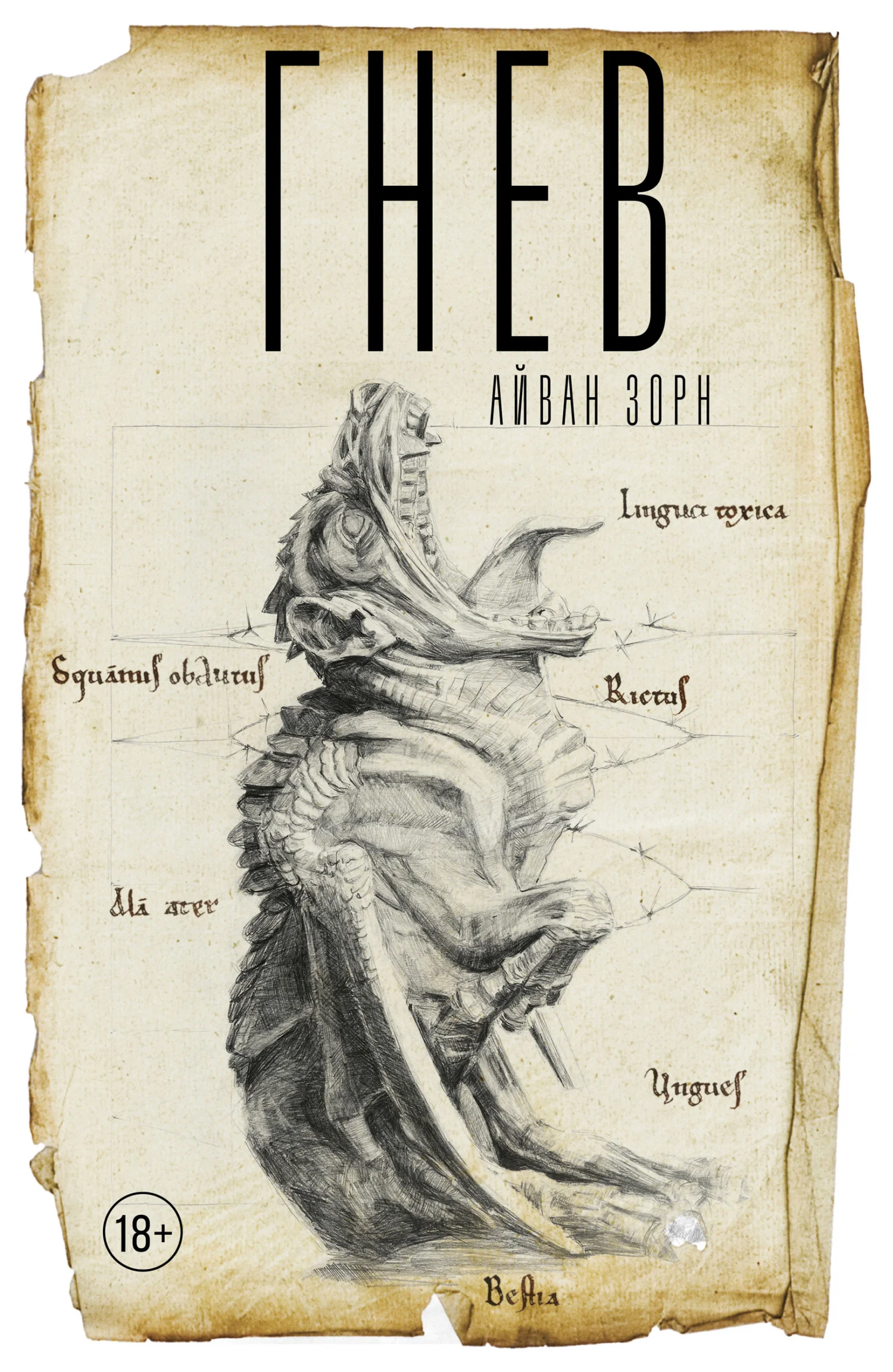 Обложка Гнев