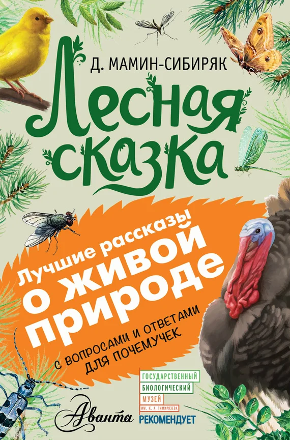 Обложка Лесная сказка