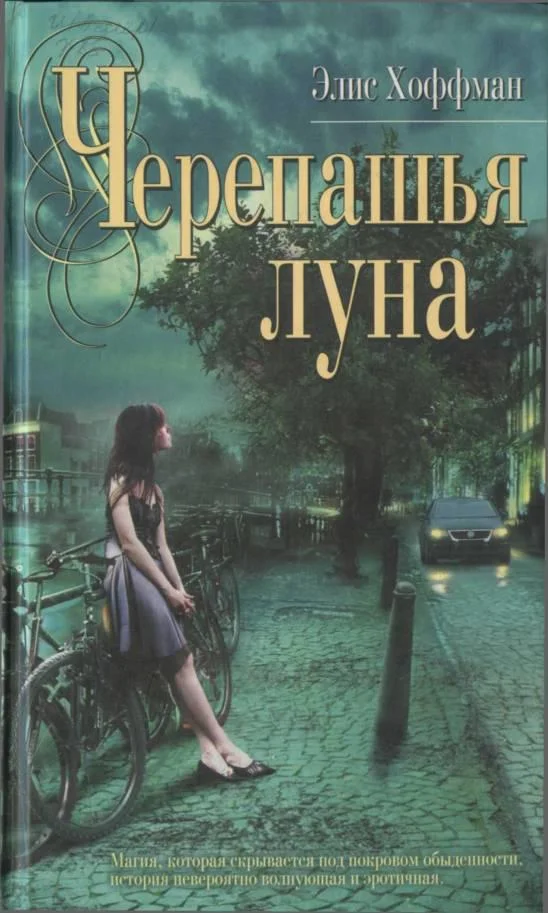 Обложка Черепашья луна