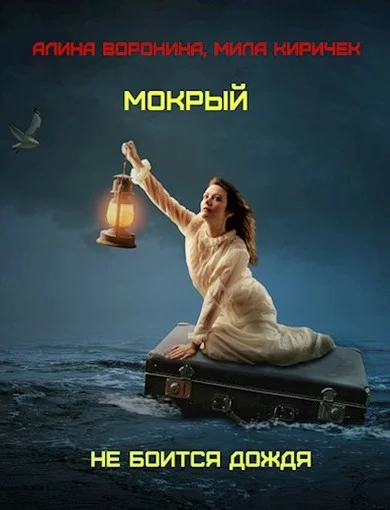 Обложка Мокрый не боится дождя