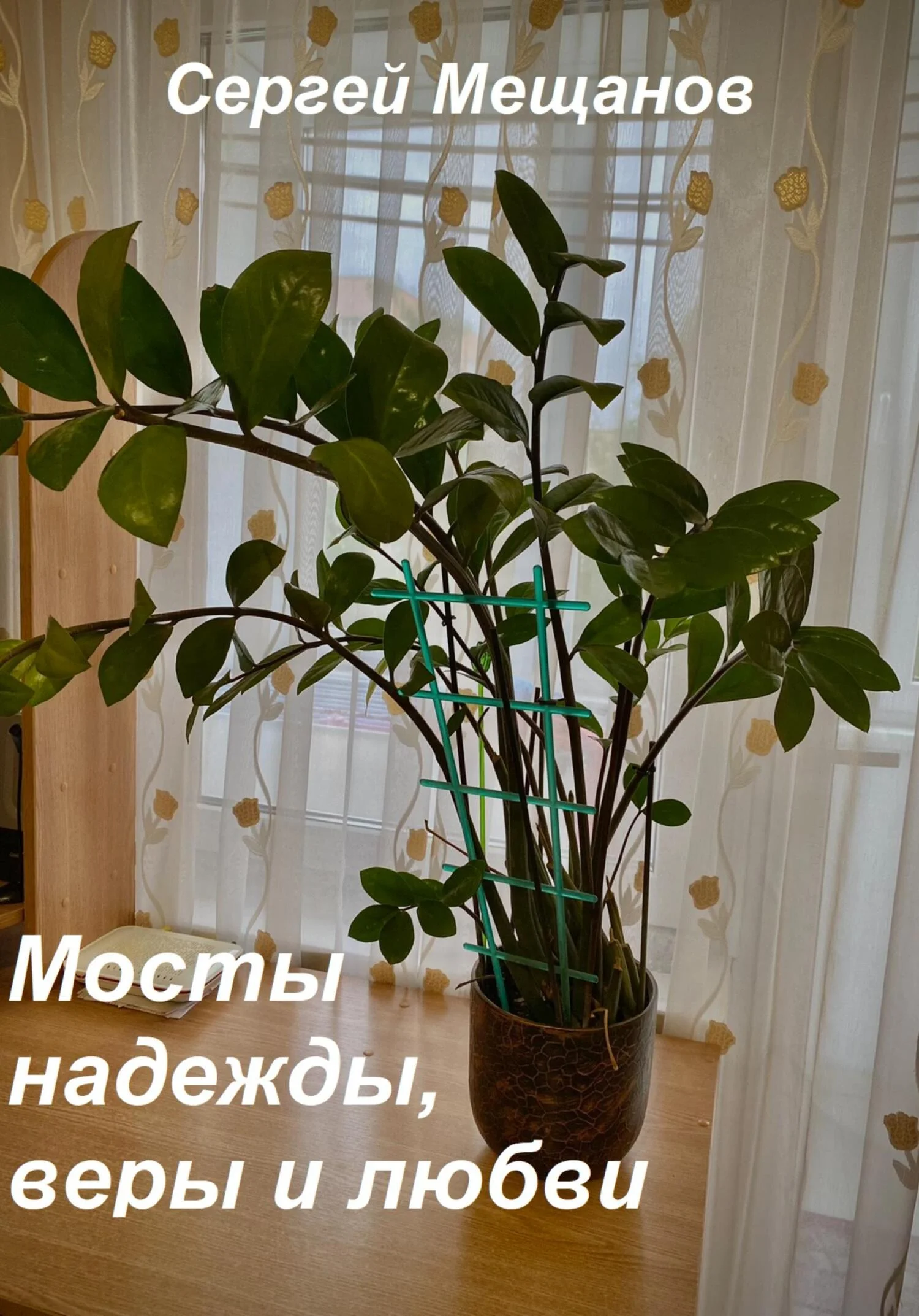Обложка Мосты надежды, веры и любви