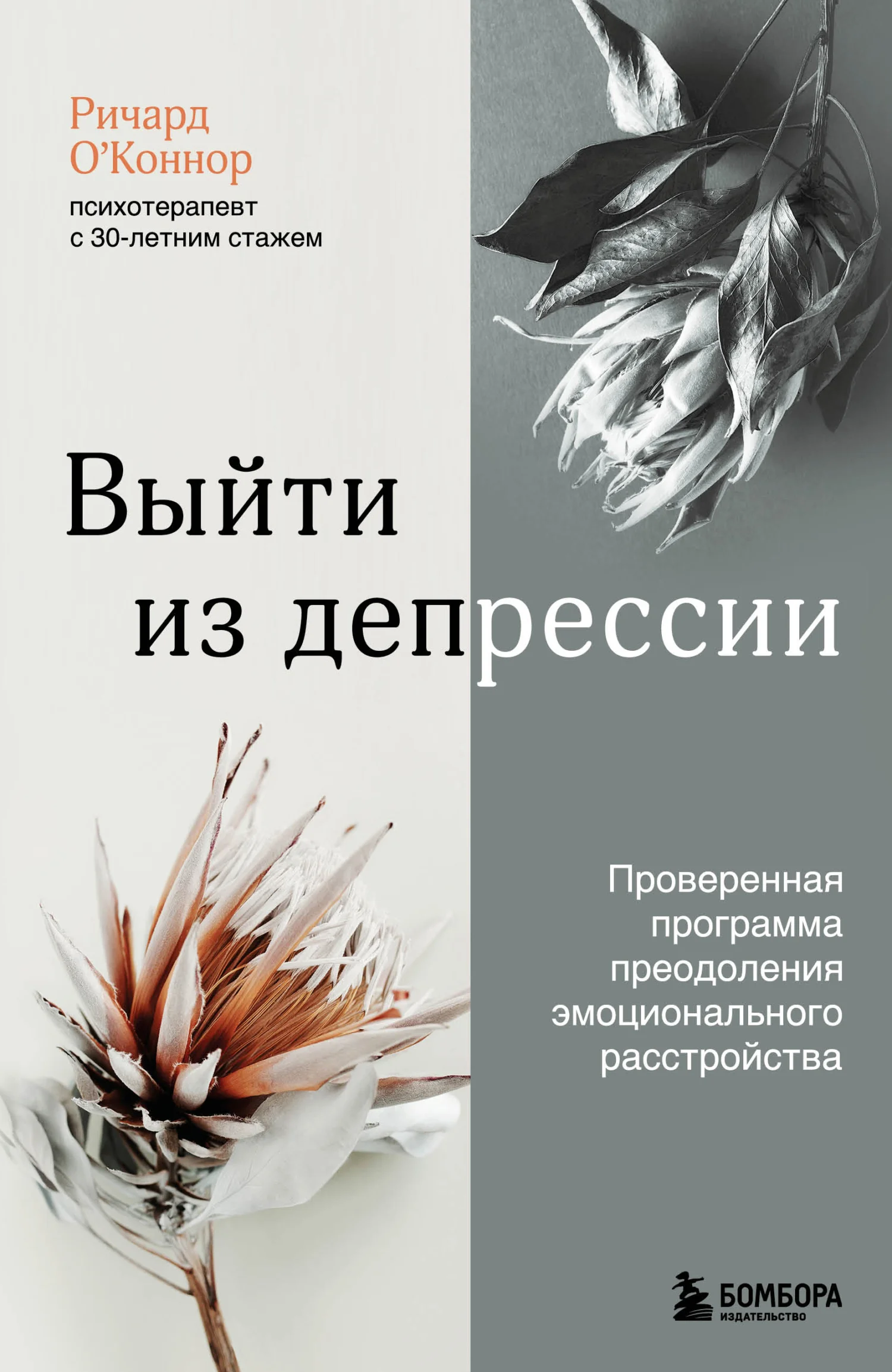 Обложка Выйти из депрессии. Проверенная программа преодоления эмоционального расстройства