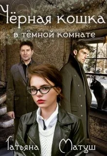 Обложка Черная кошка в темной комнате