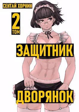 Обложка Защитник дворянок том II