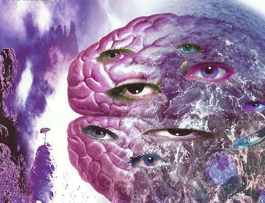 Обложка Эта строптивая река