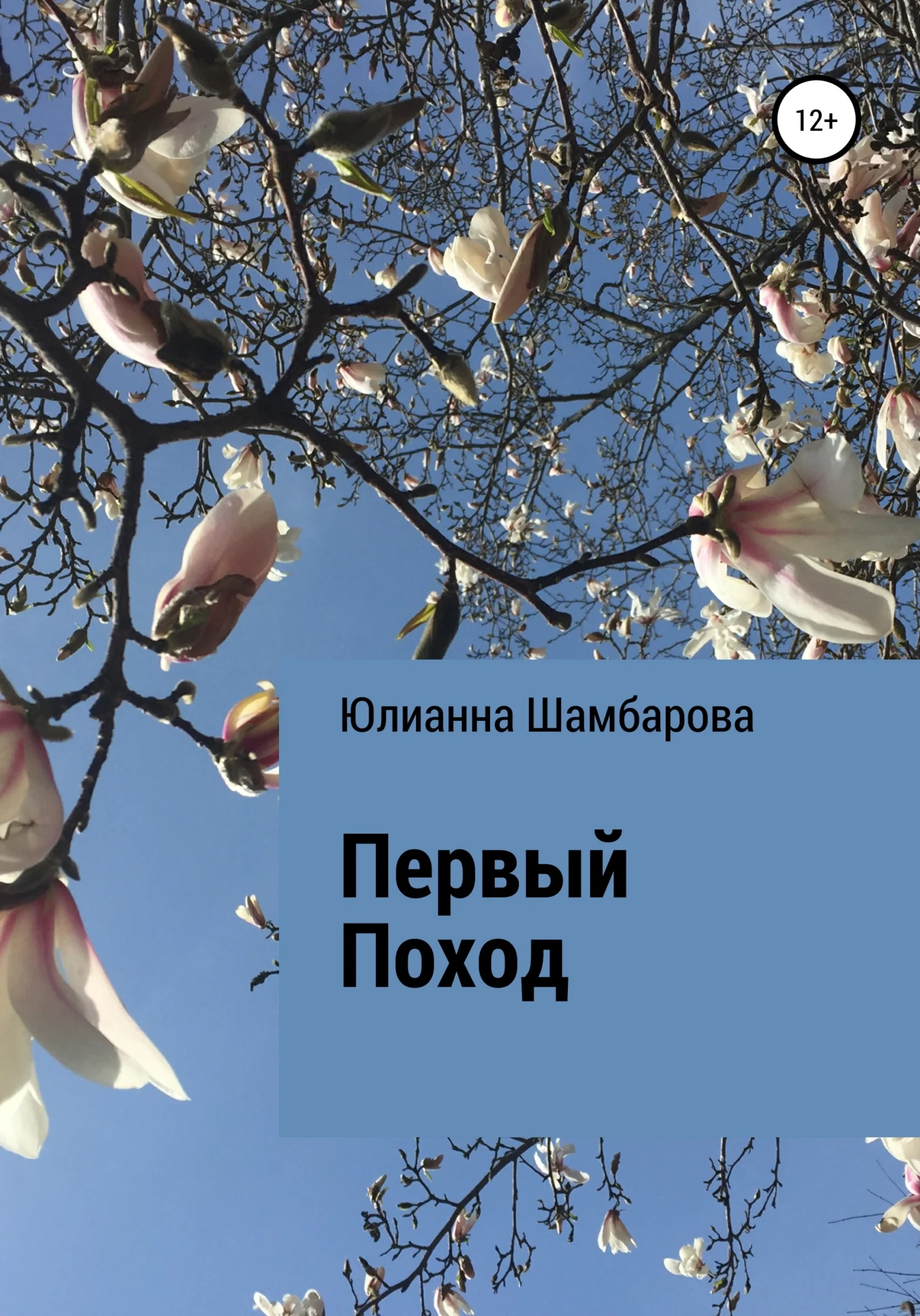 Обложка Первый поход