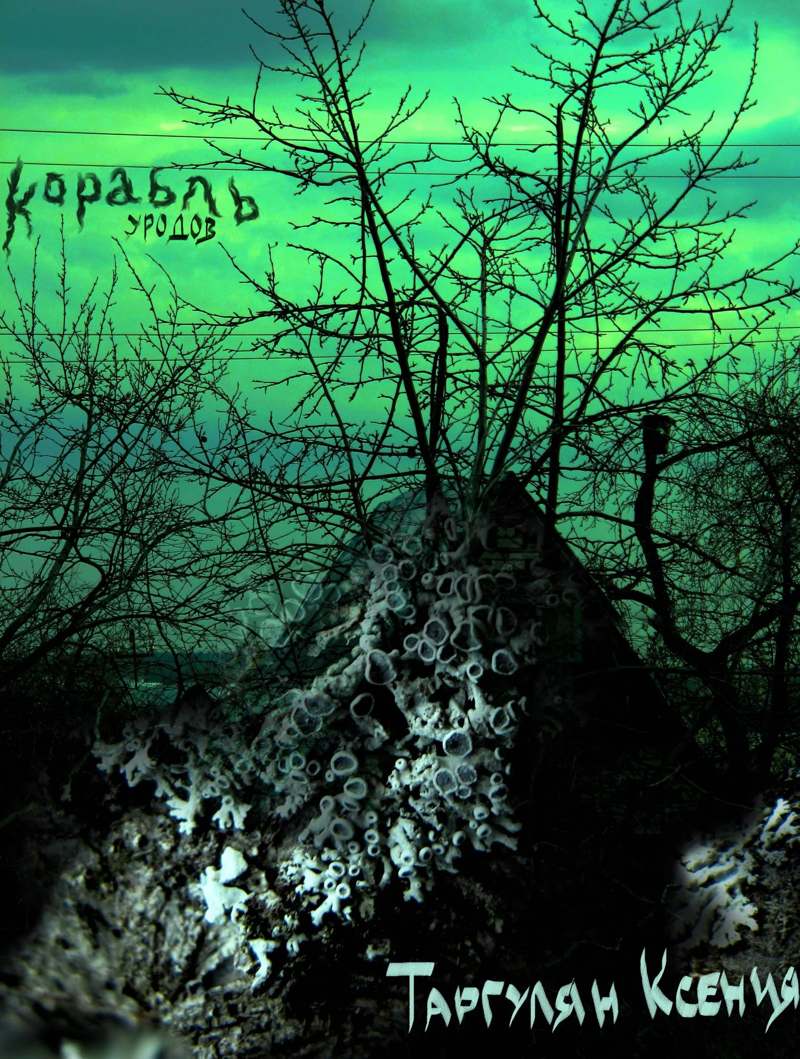 Обложка Корабль уродов