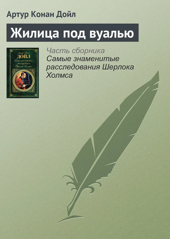 Обложка Жилица под вуалью