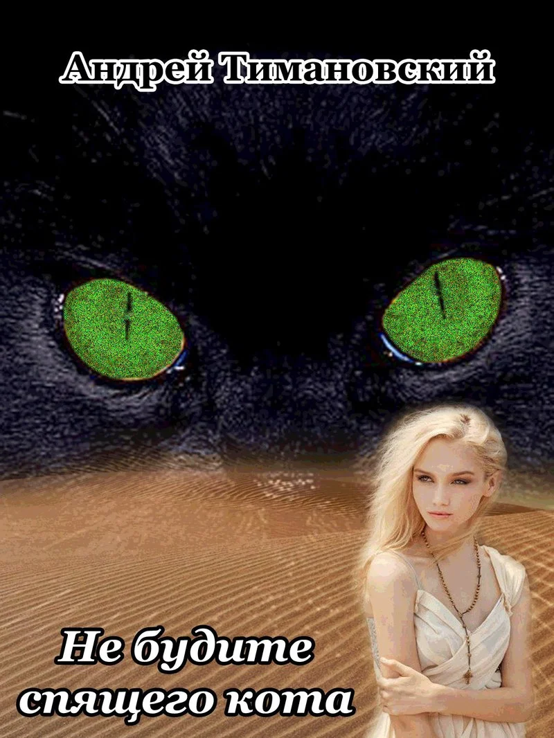 Обложка Не будите спящего кота