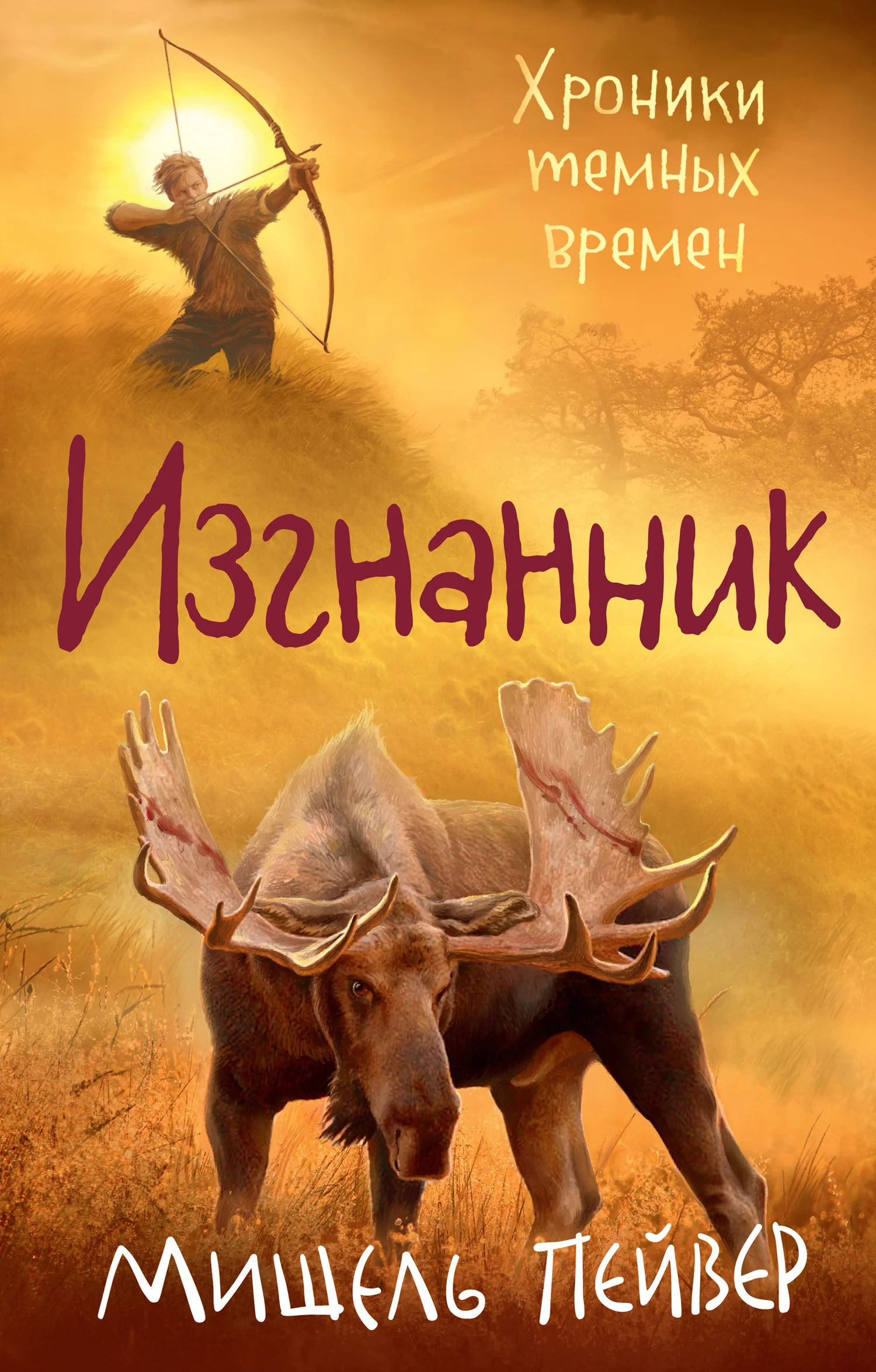 Обложка Изгнанник