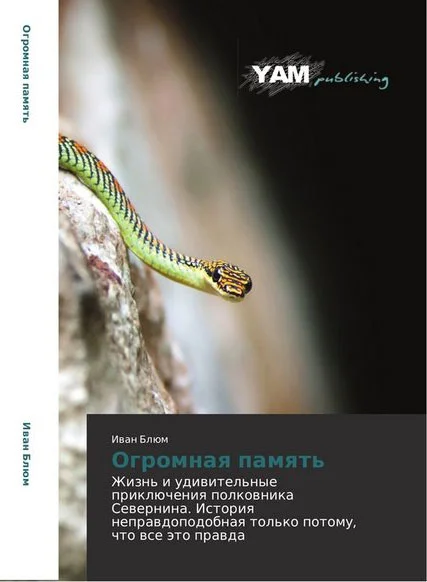 Обложка Огромная память