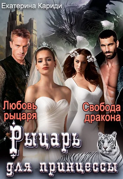 Обложка Рыцарь для принцессы