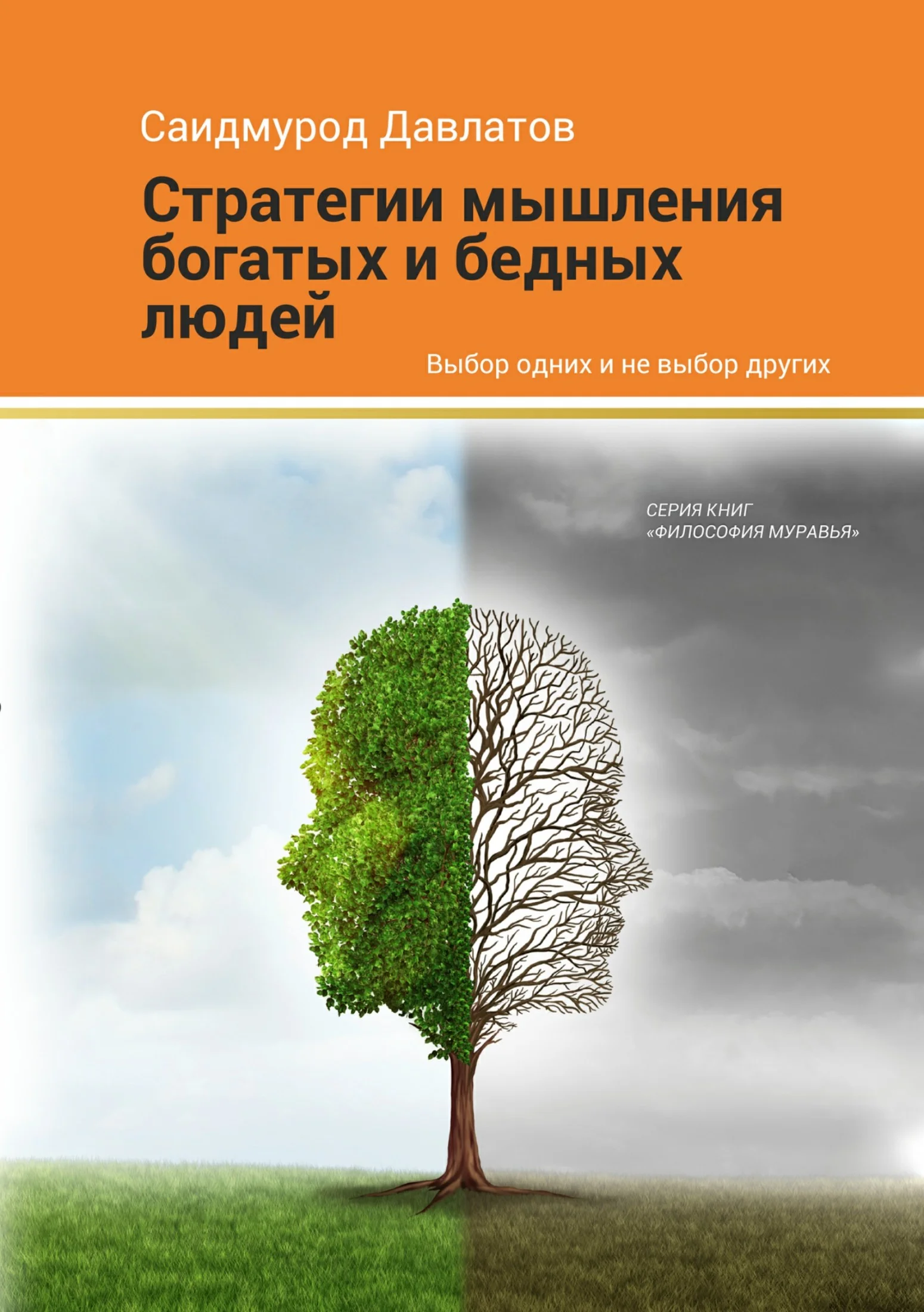 Обложка Стратегия мышления богатых и бедных людей