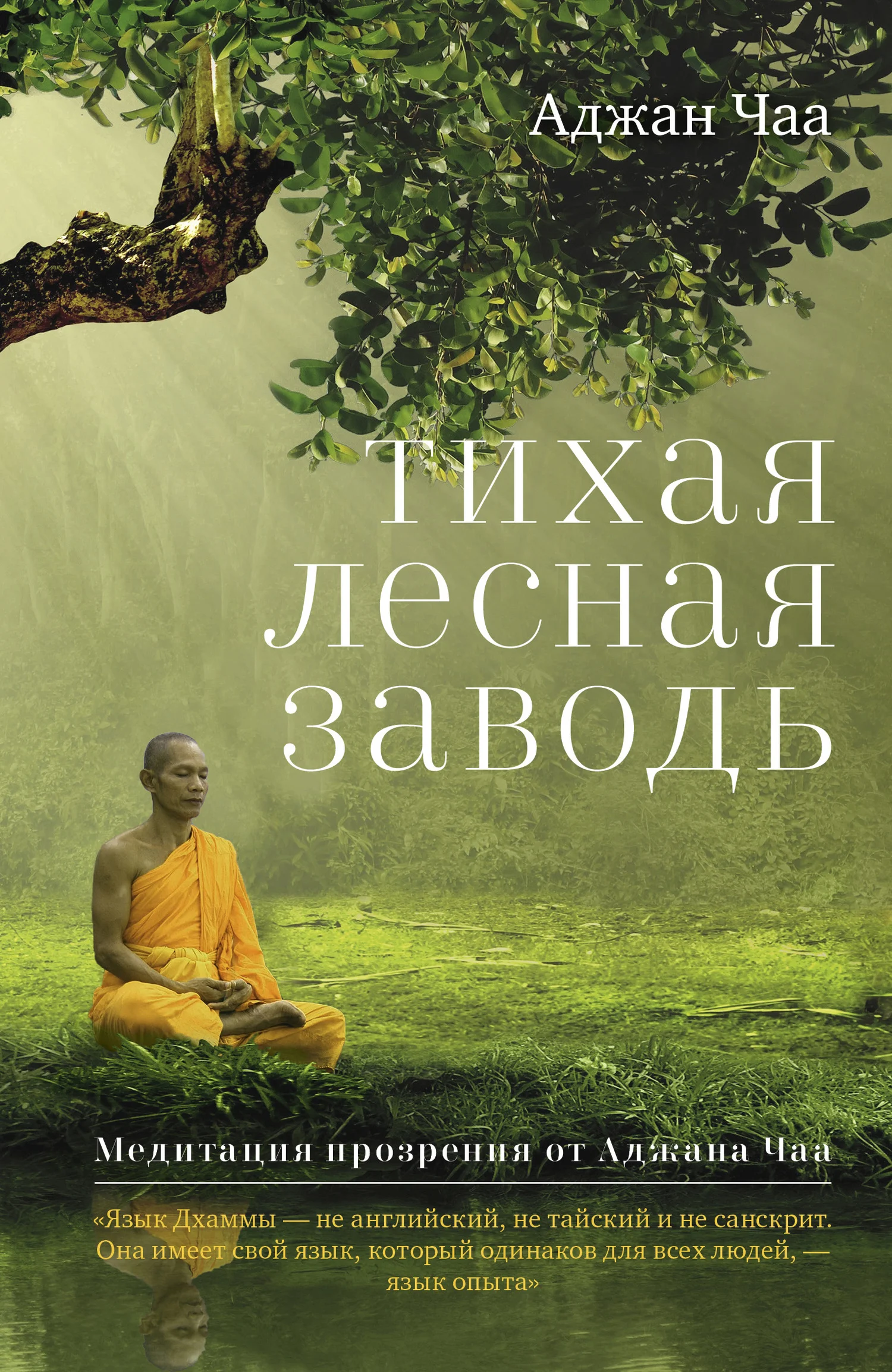 Обложка Тихая лесная заводь. Медитация прозрения от Аджана Чаа