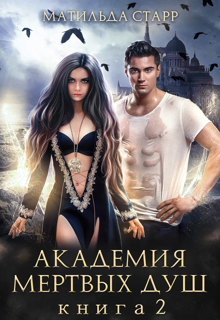 Обложка Академия мертвых душ. Книга 2