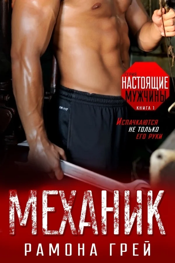 Обложка Механик