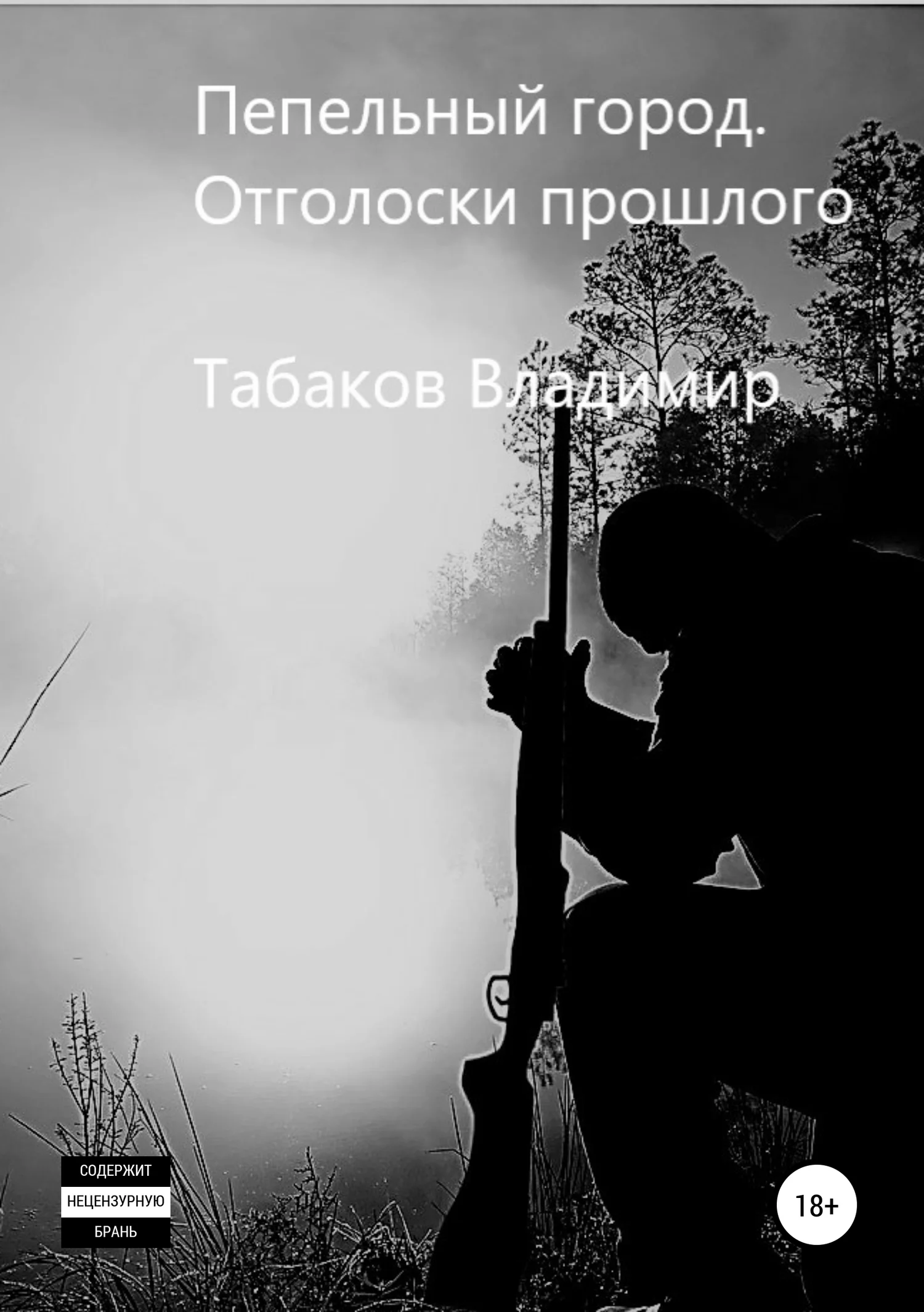 Обложка Пепельный город. Отголоски прошлого