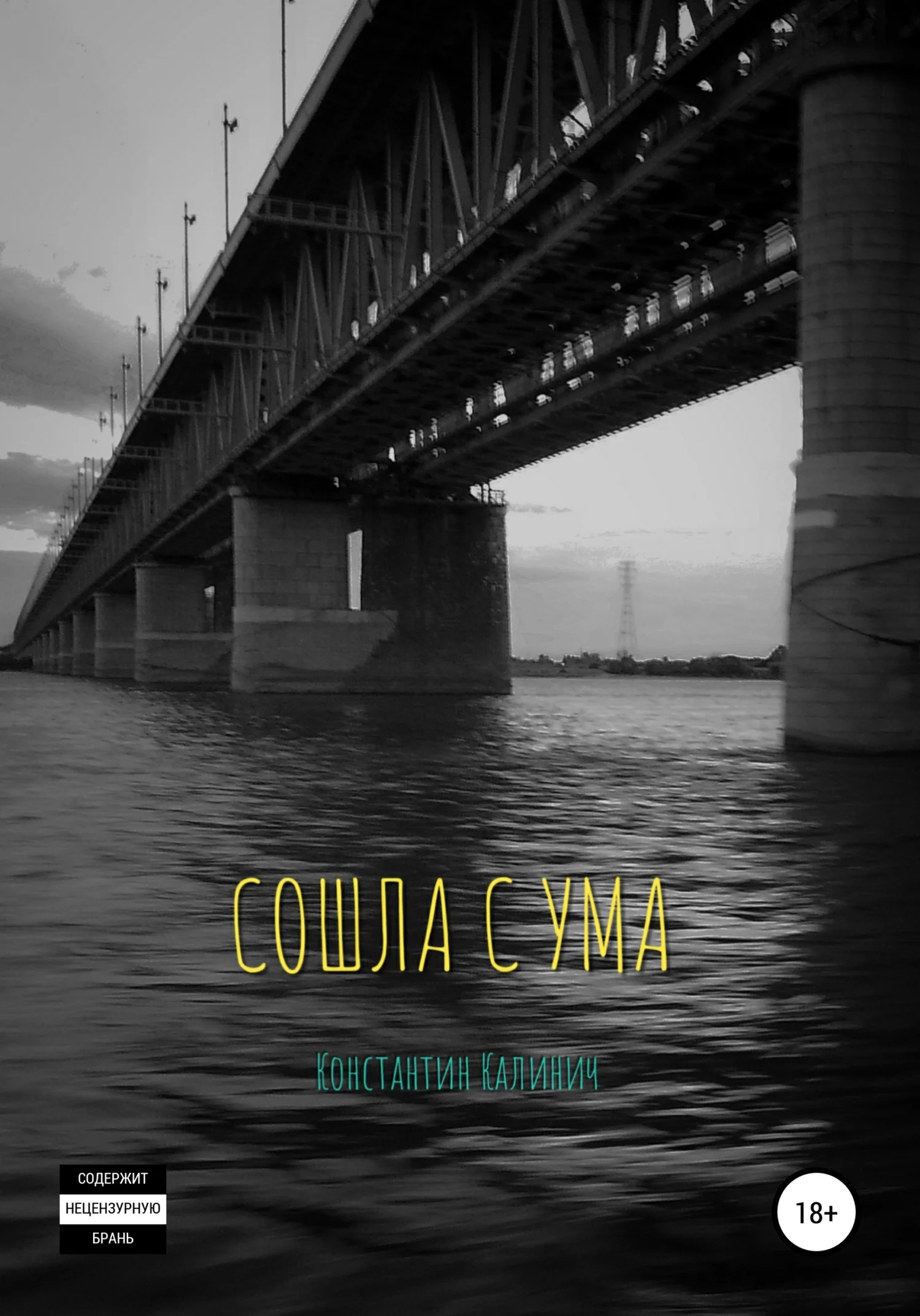 Обложка Сошла с ума