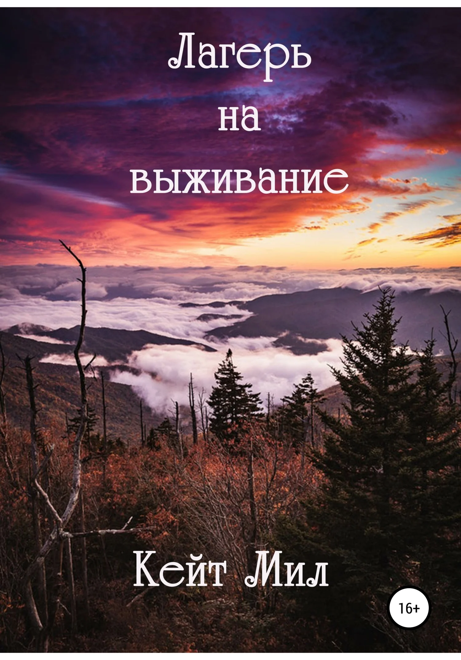 Обложка Лагерь на выживание