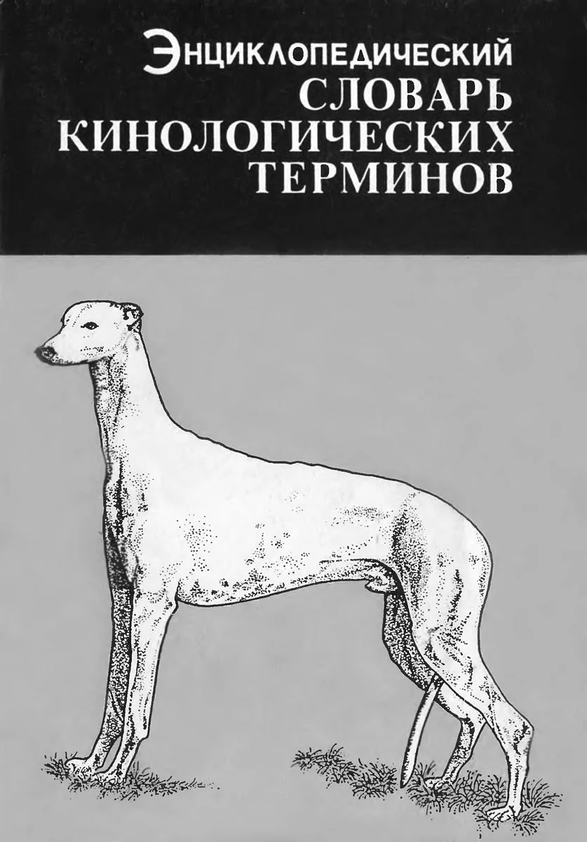 Обложка Энциклопедический словарь кинологических терминов
