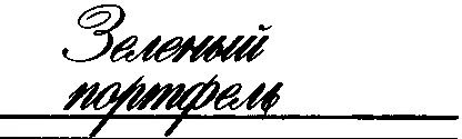Обложка Зеленый портфель