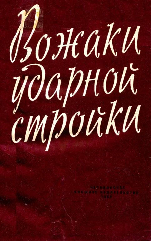 Обложка Вожаки ударной стройки