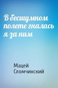 Обложка В бесшумном полете гналась я за ним