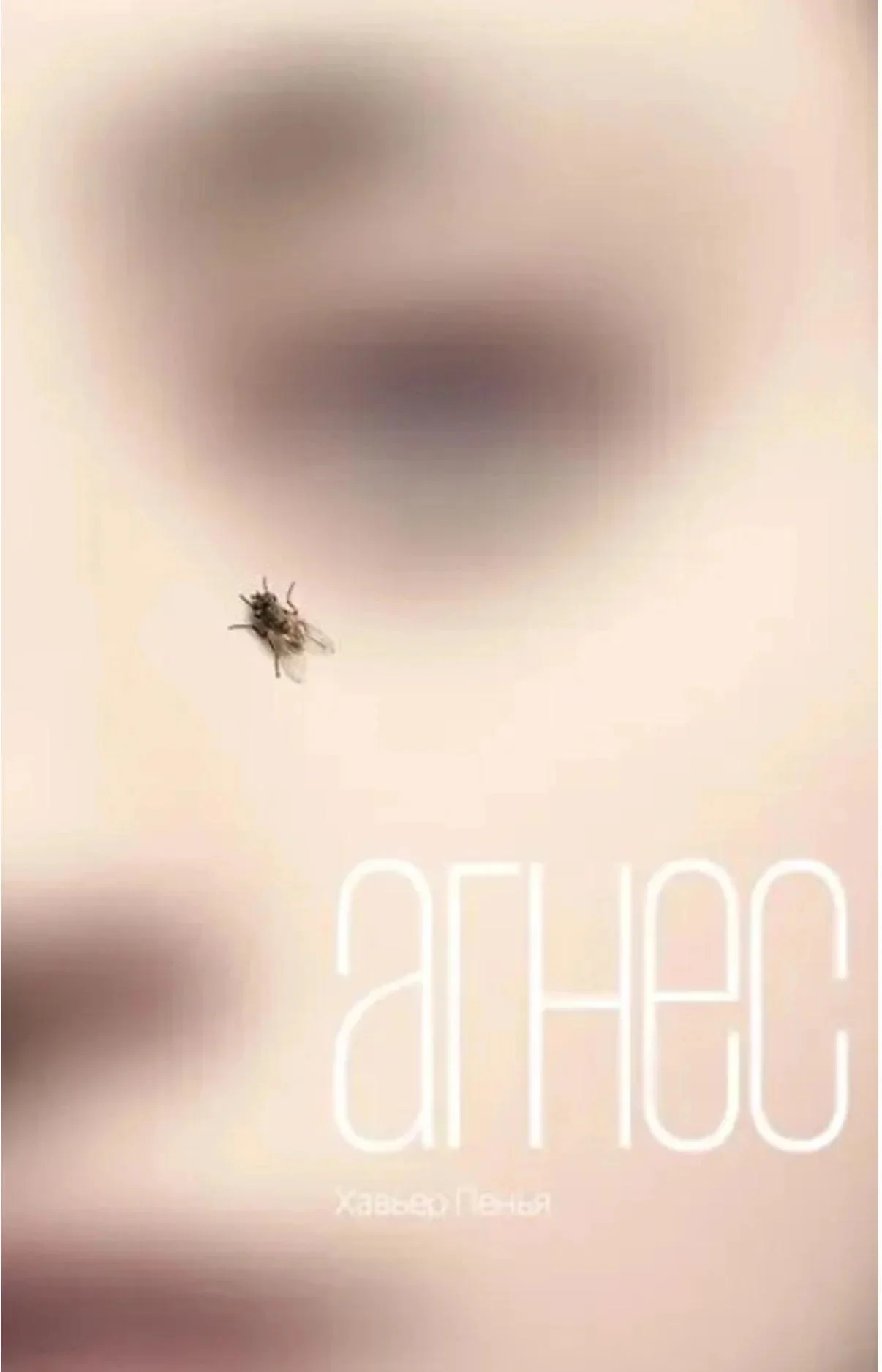 Обложка Агнес