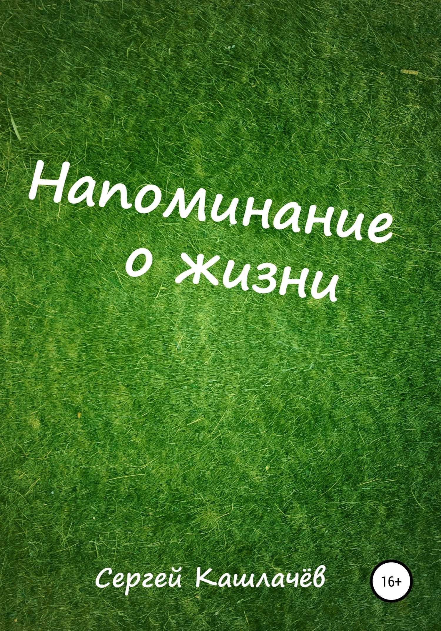 Обложка Напоминание о жизни