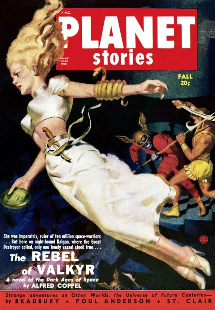 Обложка Мятежник Валькира