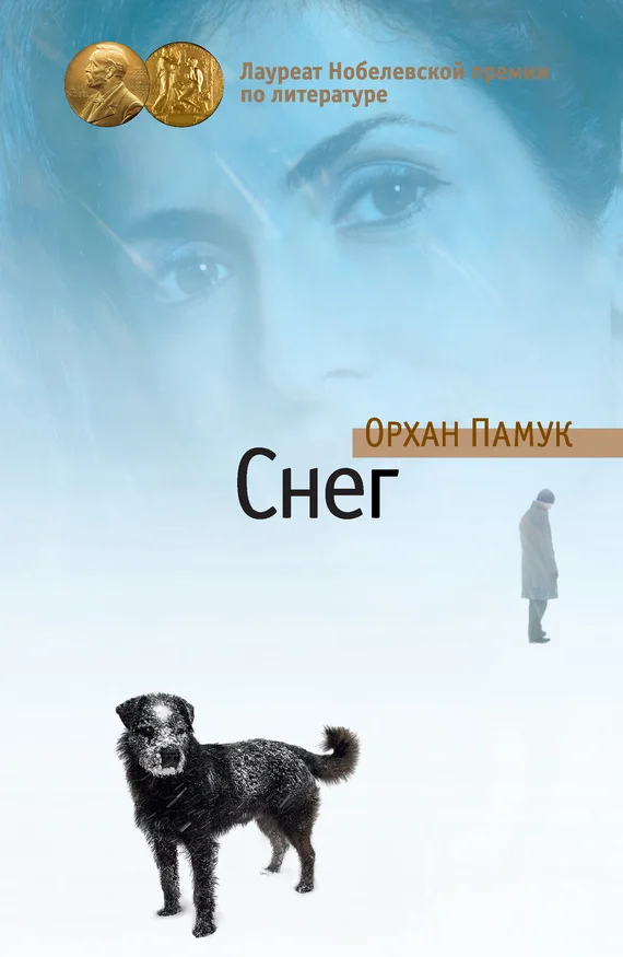 Обложка Снег