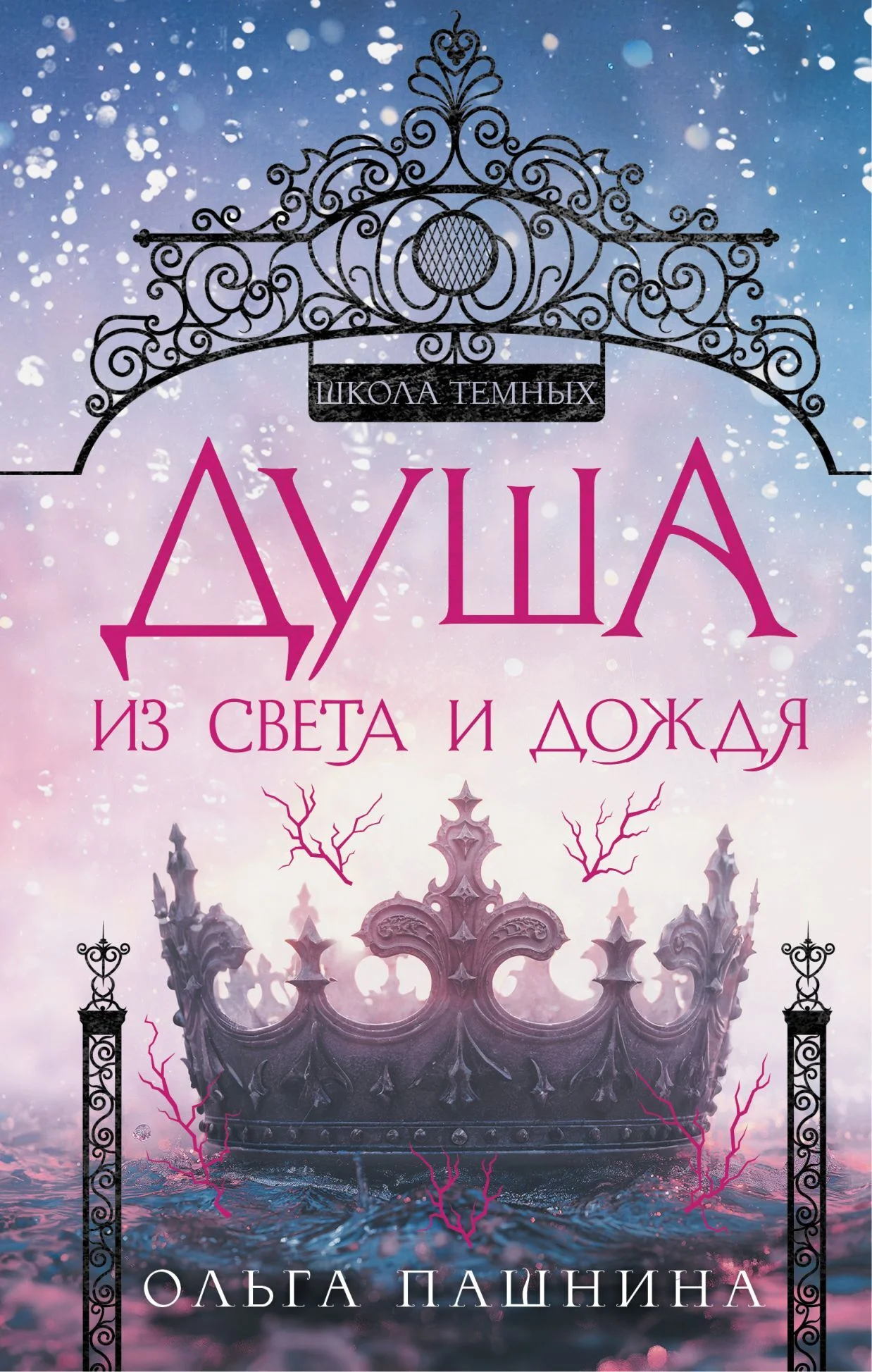 Обложка Душа из света и дождя