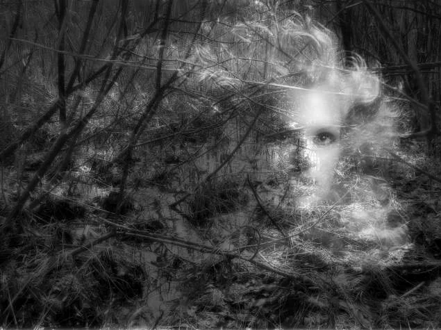 Обложка Затерянные в Чарусах