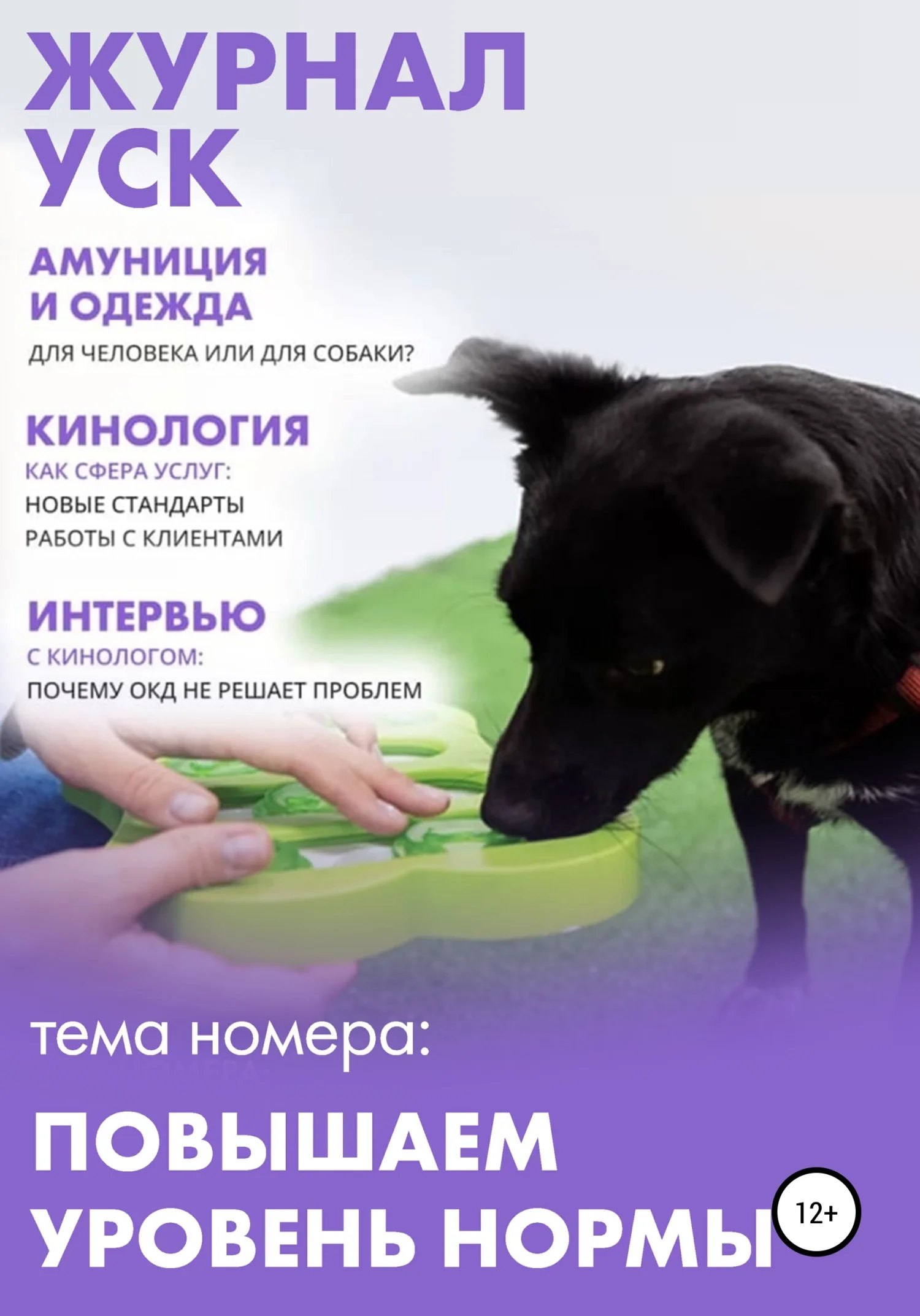 Обложка Журнал УСК. Повышаем уровень нормы