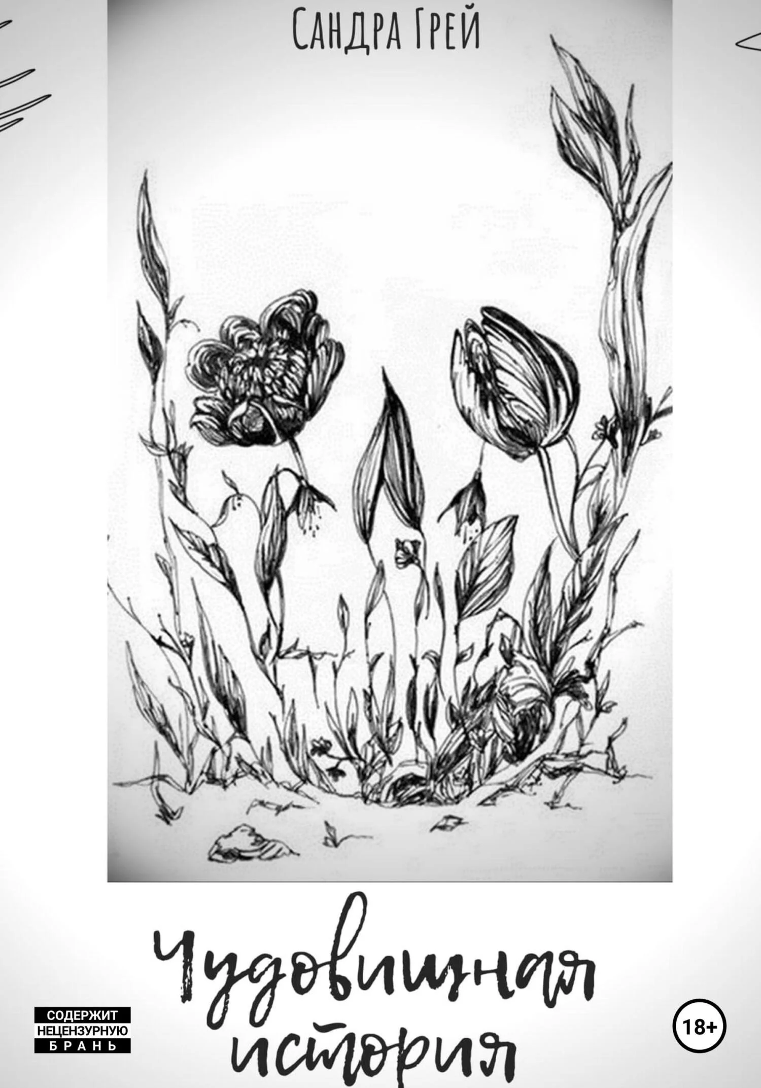 Обложка Чудо-вищная история