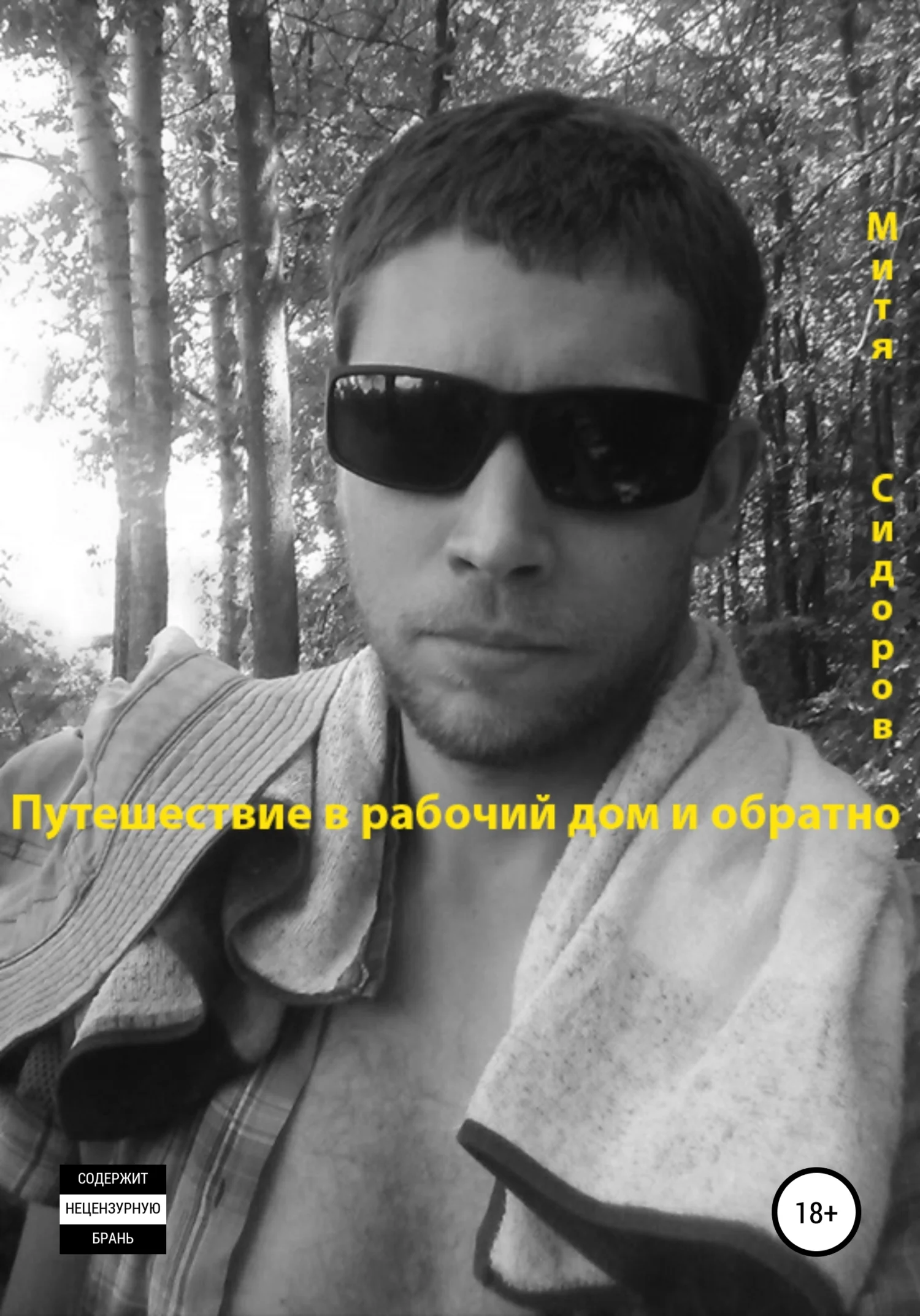 Обложка Путешествие в рабочий дом и обратно