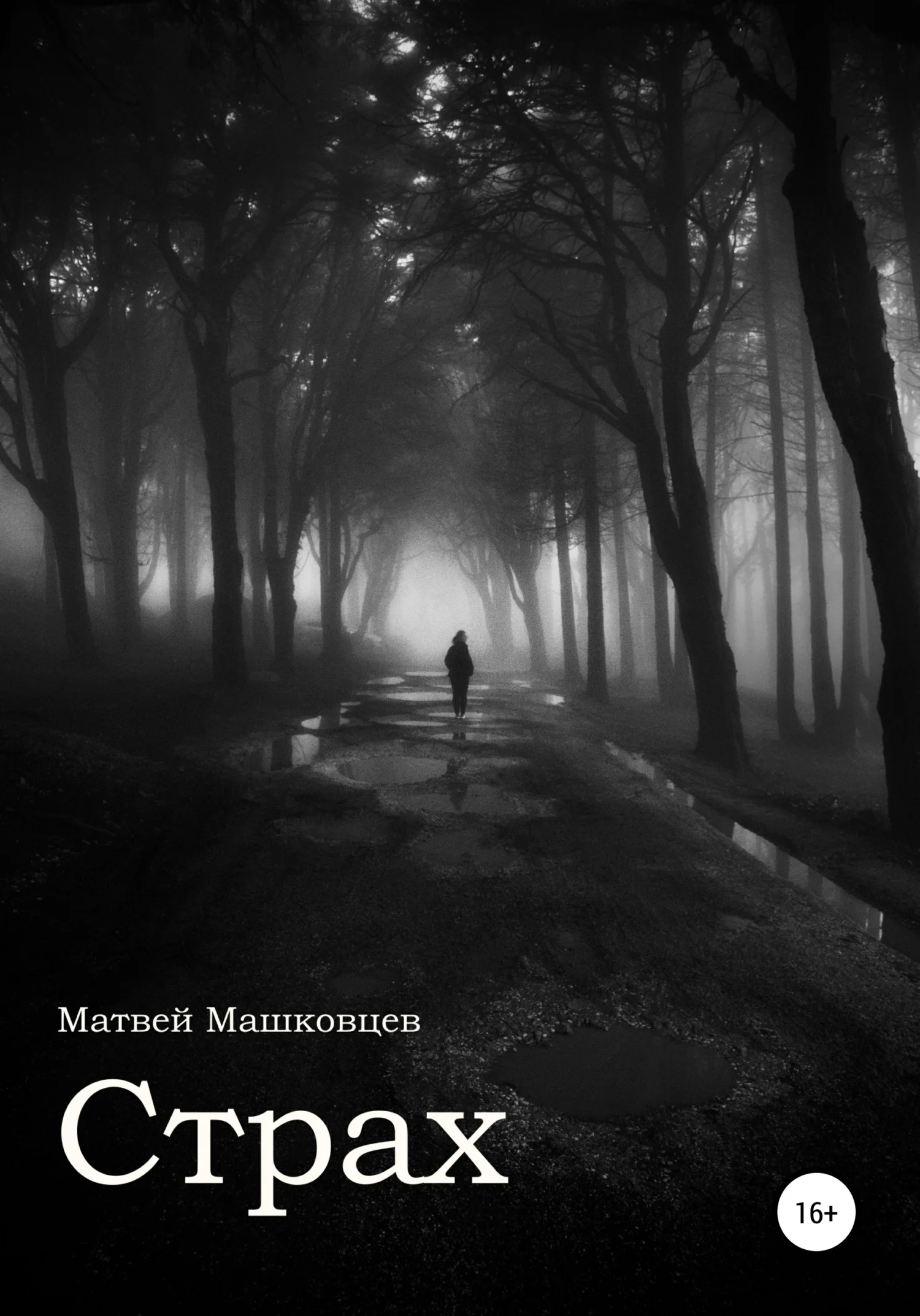 Обложка Страх