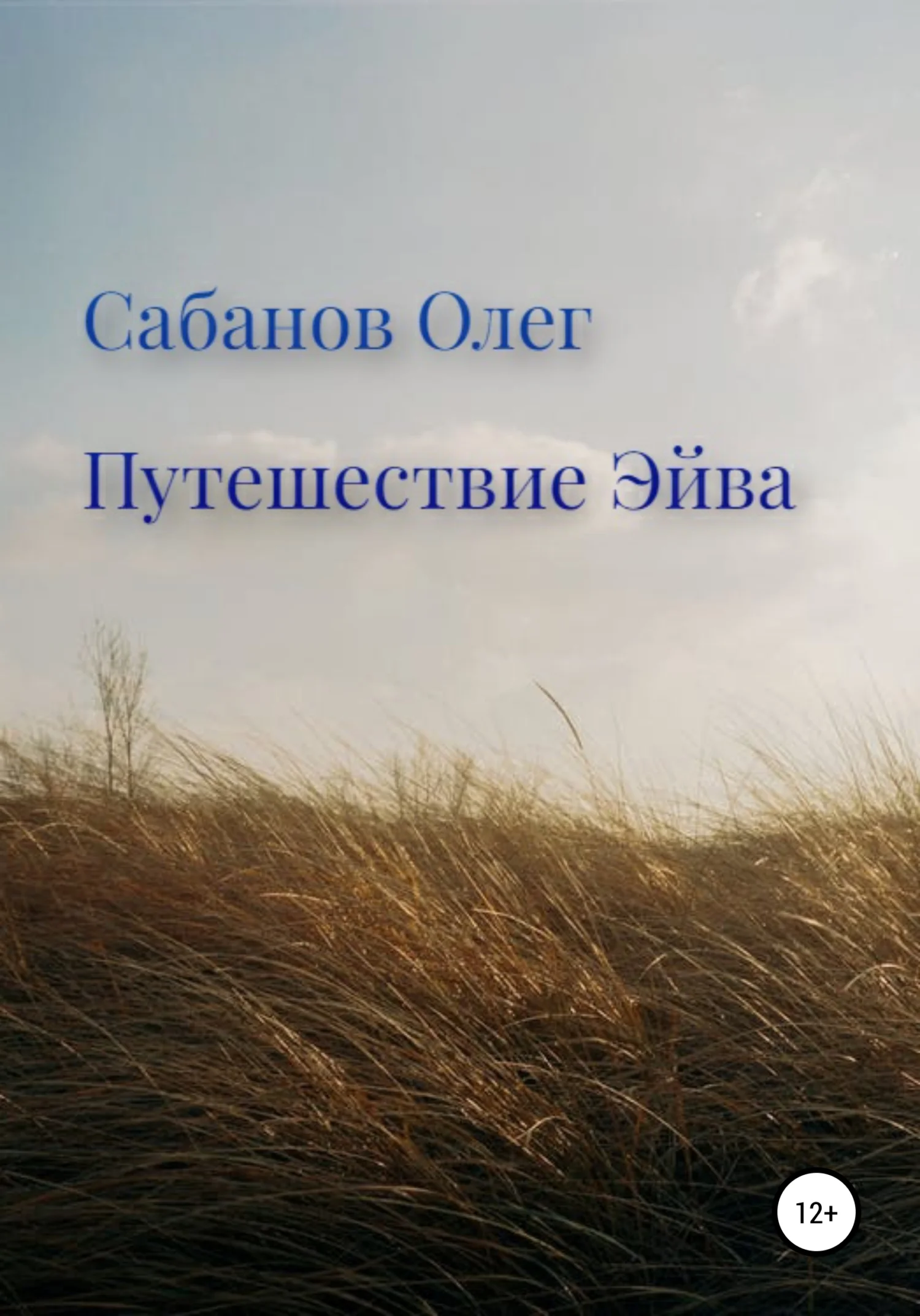 Обложка Путешествие Эйва