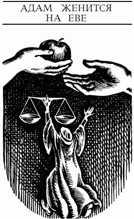 Обложка Адам женится на Еве