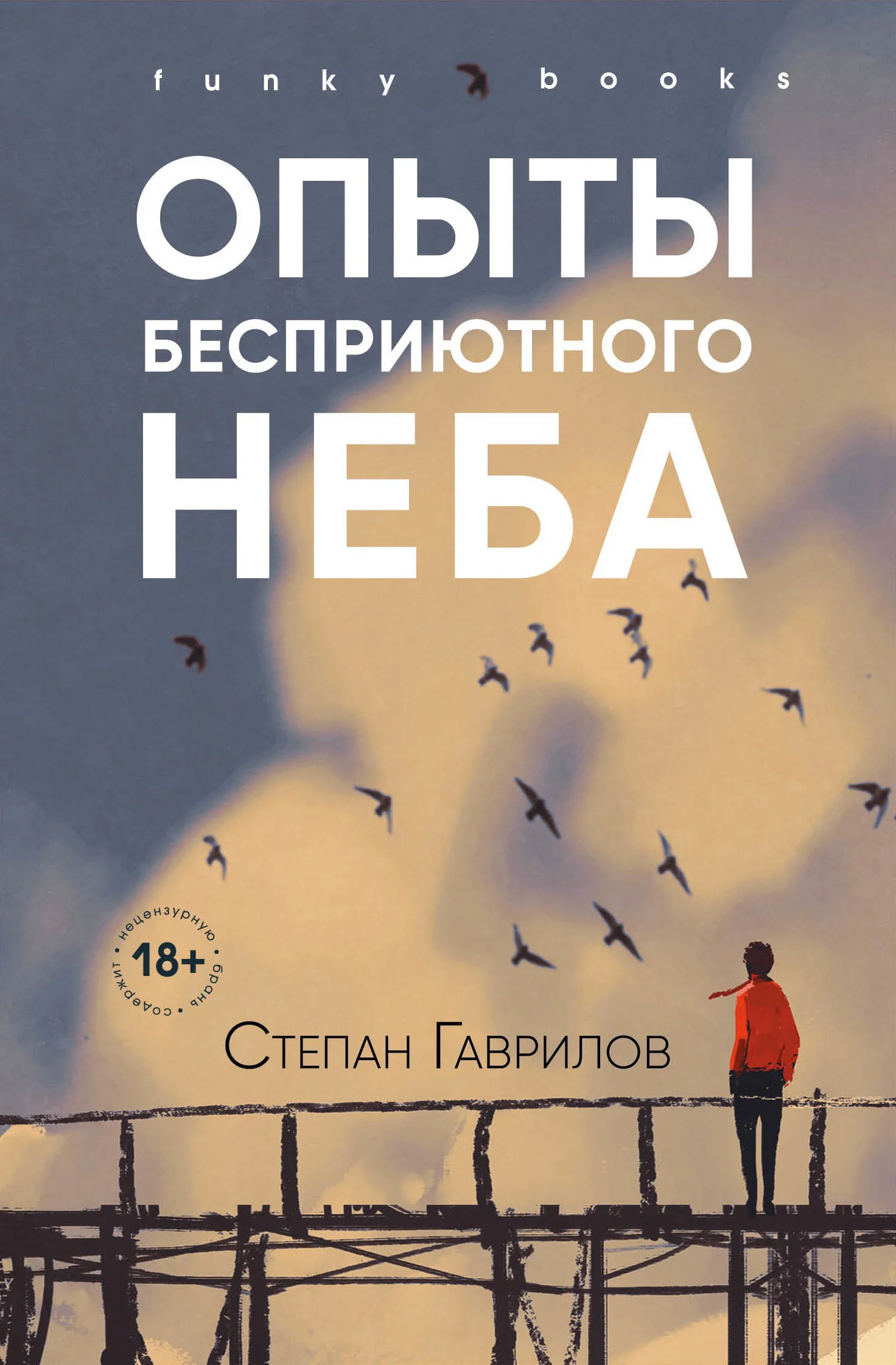 Обложка Опыты бесприютного неба