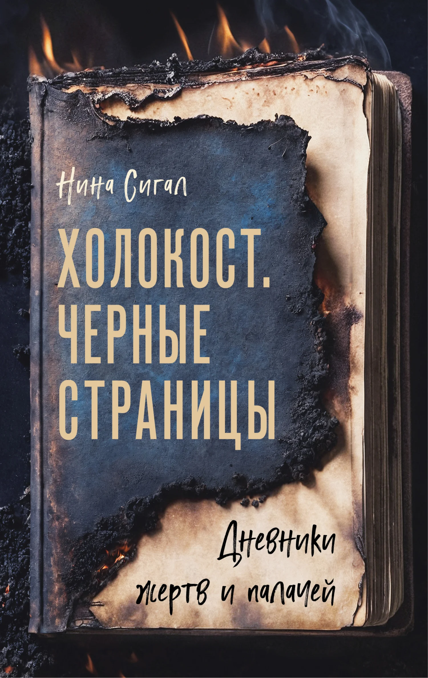 Обложка Холокост. Черные страницы. Дневники жертв и палачей